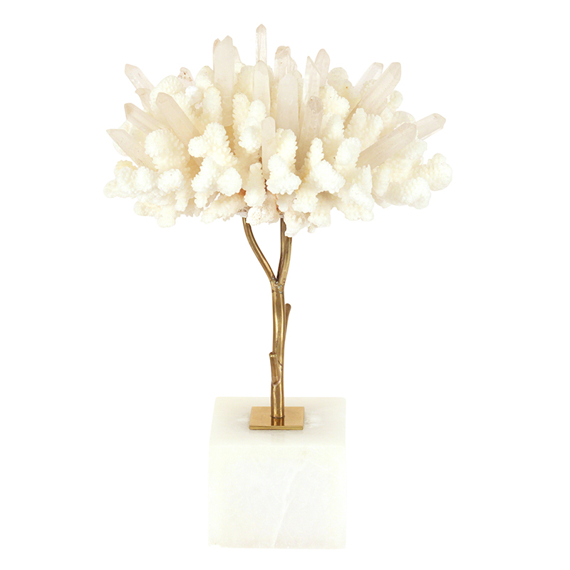 white coral tree